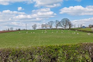 Photo 36- click for photo gallery